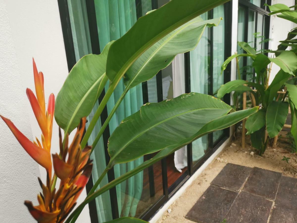 Mango T. Chiangmai Khu nghỉ mát Chiang Mai
